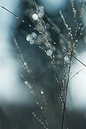 SE调查问卷或暗示《最终幻想：战略版》将会重置